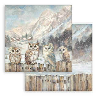 Scrapbookový papír - The Owl's House - Owls, 12x12