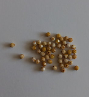 Ohňovky - OP White Picasso 4 mm, 50ks