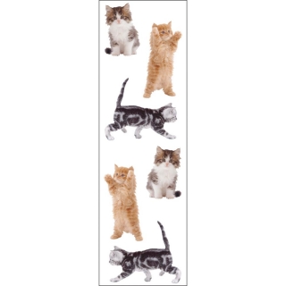 Samolepky - Kitties